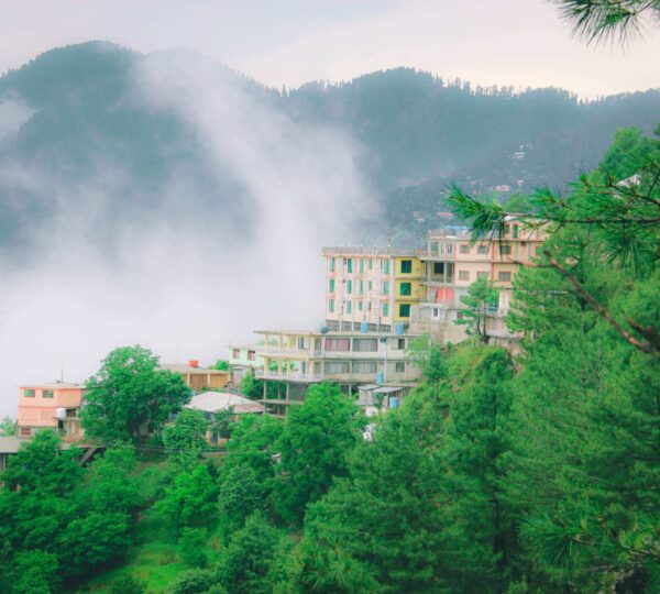 MURREE 